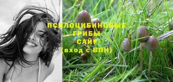 метадон Баксан