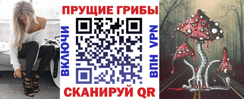 Галлюциногенные грибы Cubensis  Слободской 